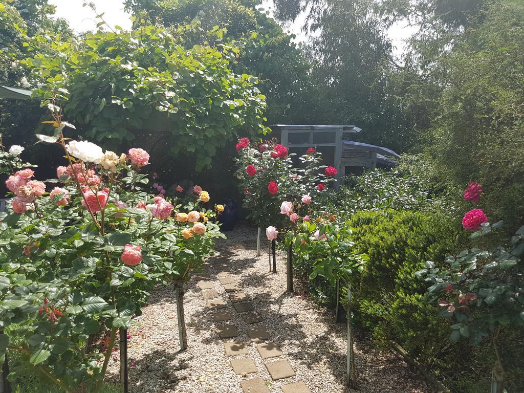 Olde Mill House B&B & Bike2Wine Cycle Hire Renwick Екстериор снимка