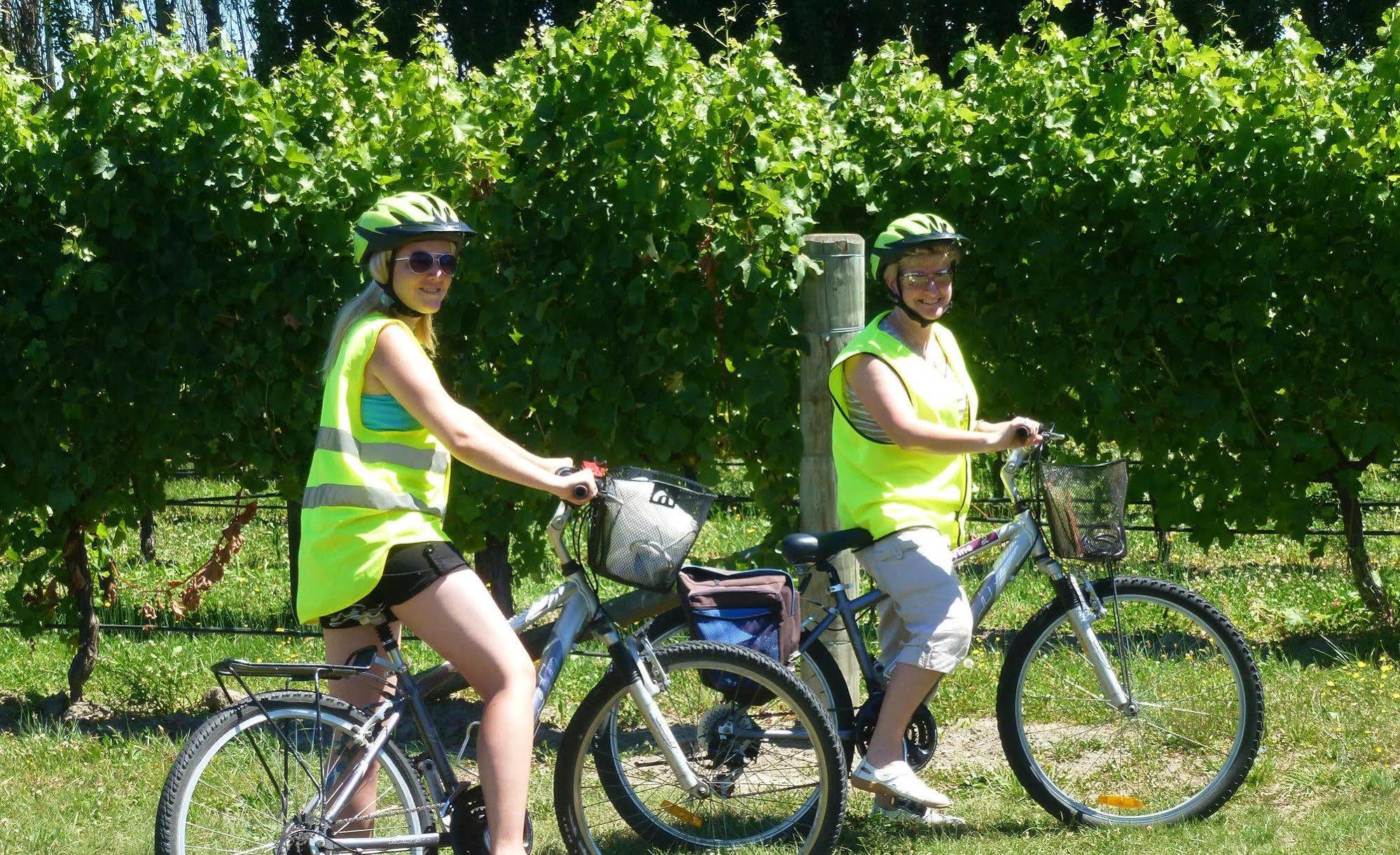Olde Mill House B&B & Bike2Wine Cycle Hire Renwick Екстериор снимка