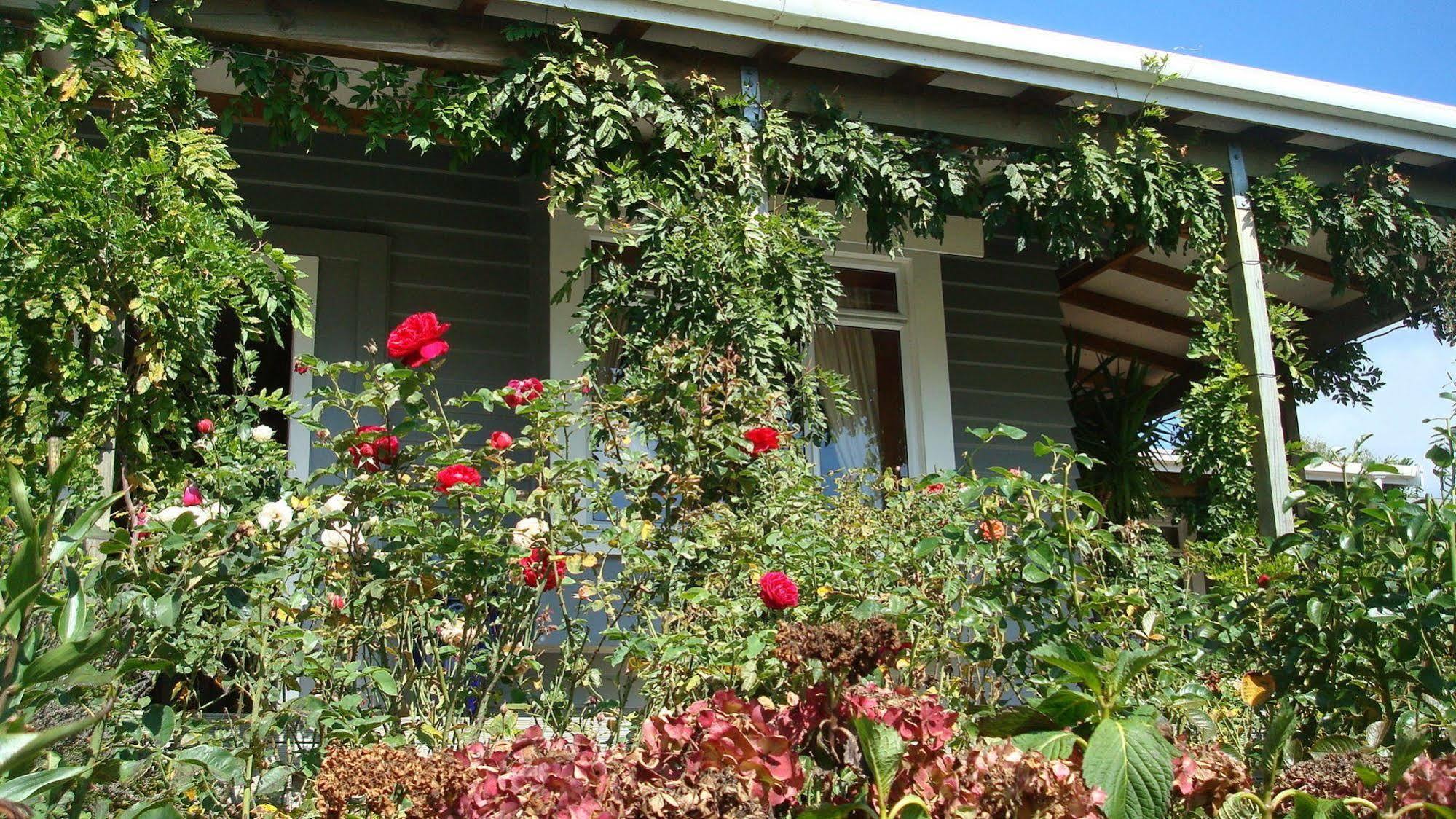 Olde Mill House B&B & Bike2Wine Cycle Hire Renwick Екстериор снимка